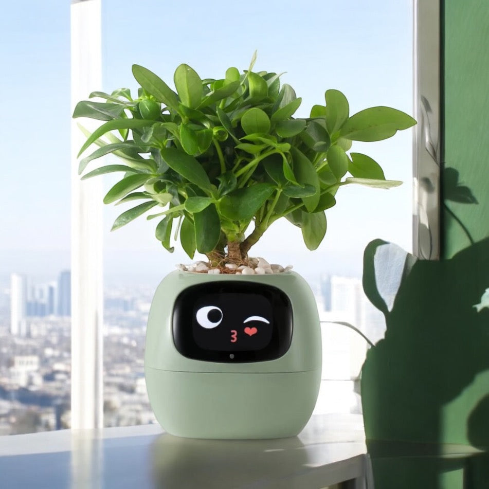 Ivy Smart Planter