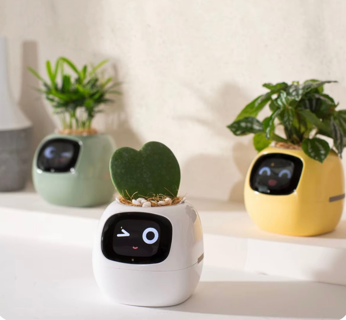 Ivy Smart Planter